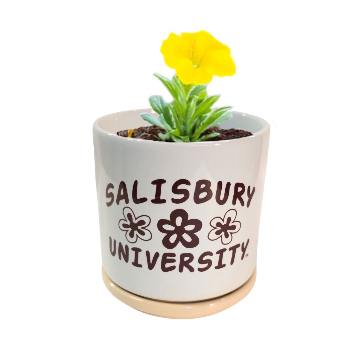 Blume Planter w/ Flower
