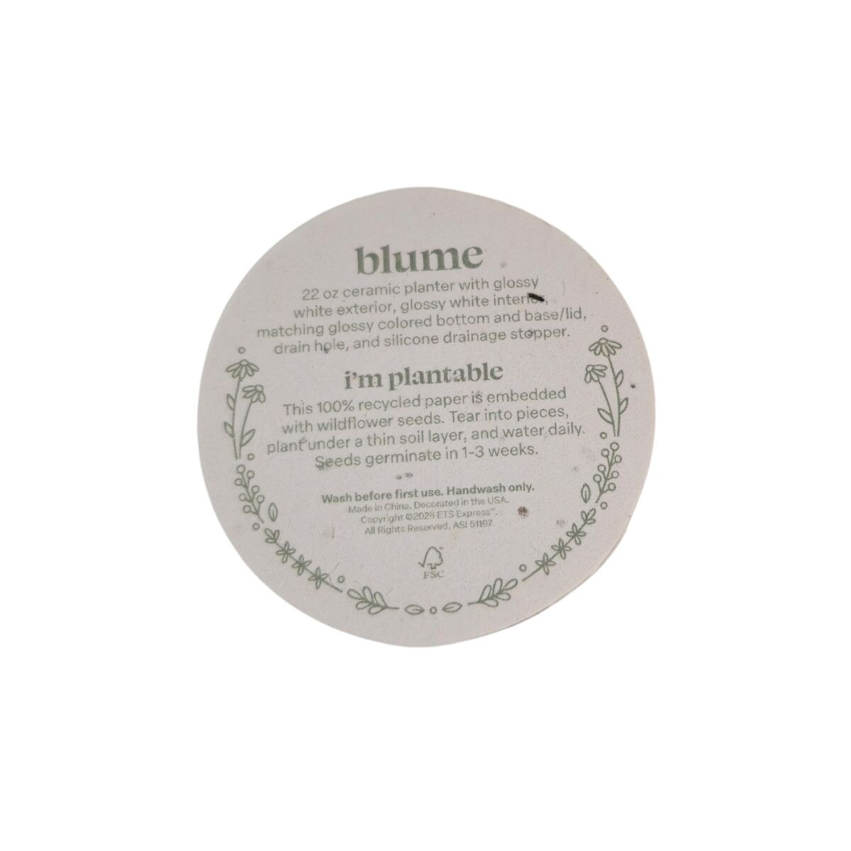 Blume planter comes with seeds