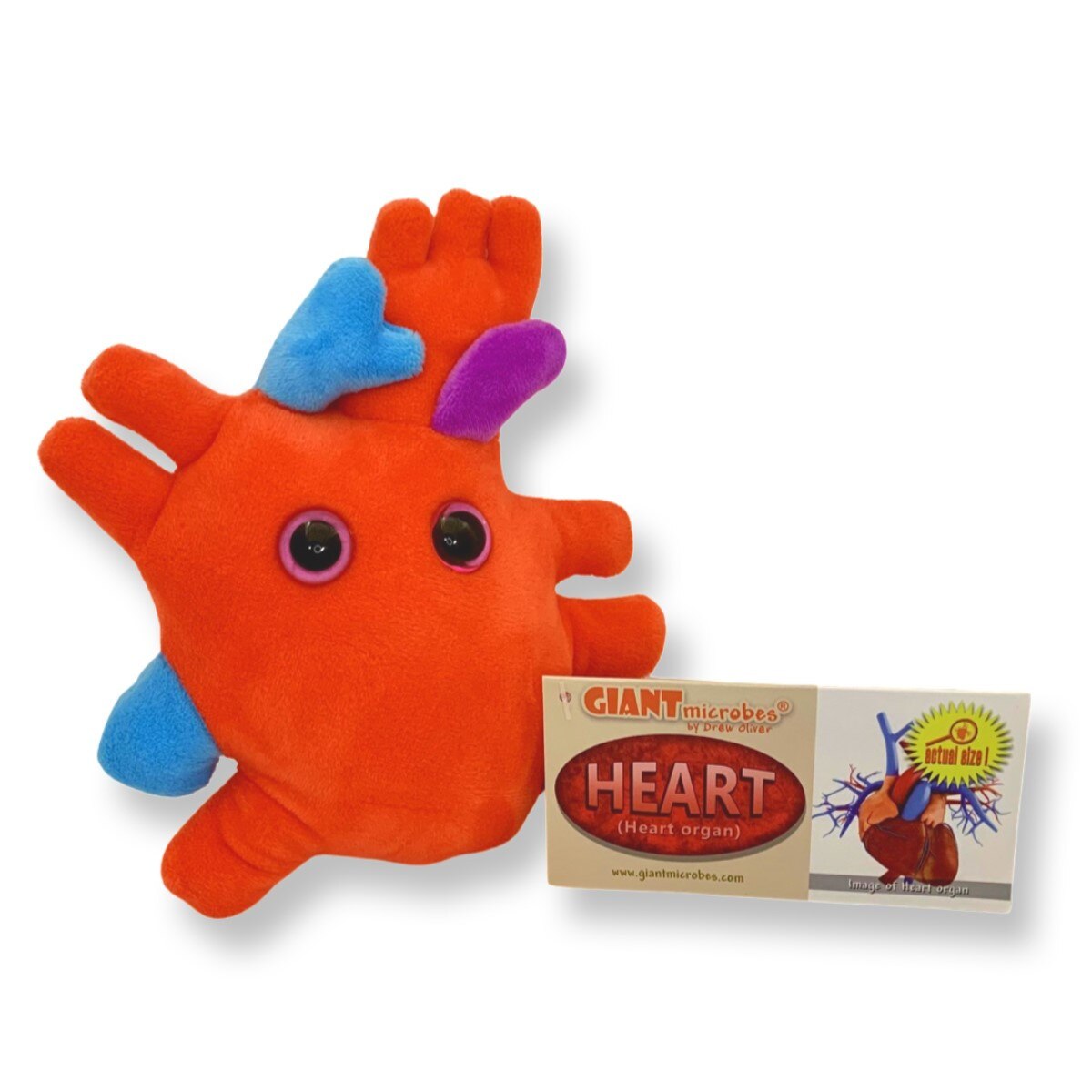 GIANTmicrobes Heart Organ