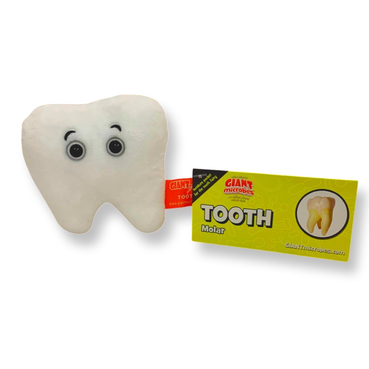 GIANTmicrobes Tooth