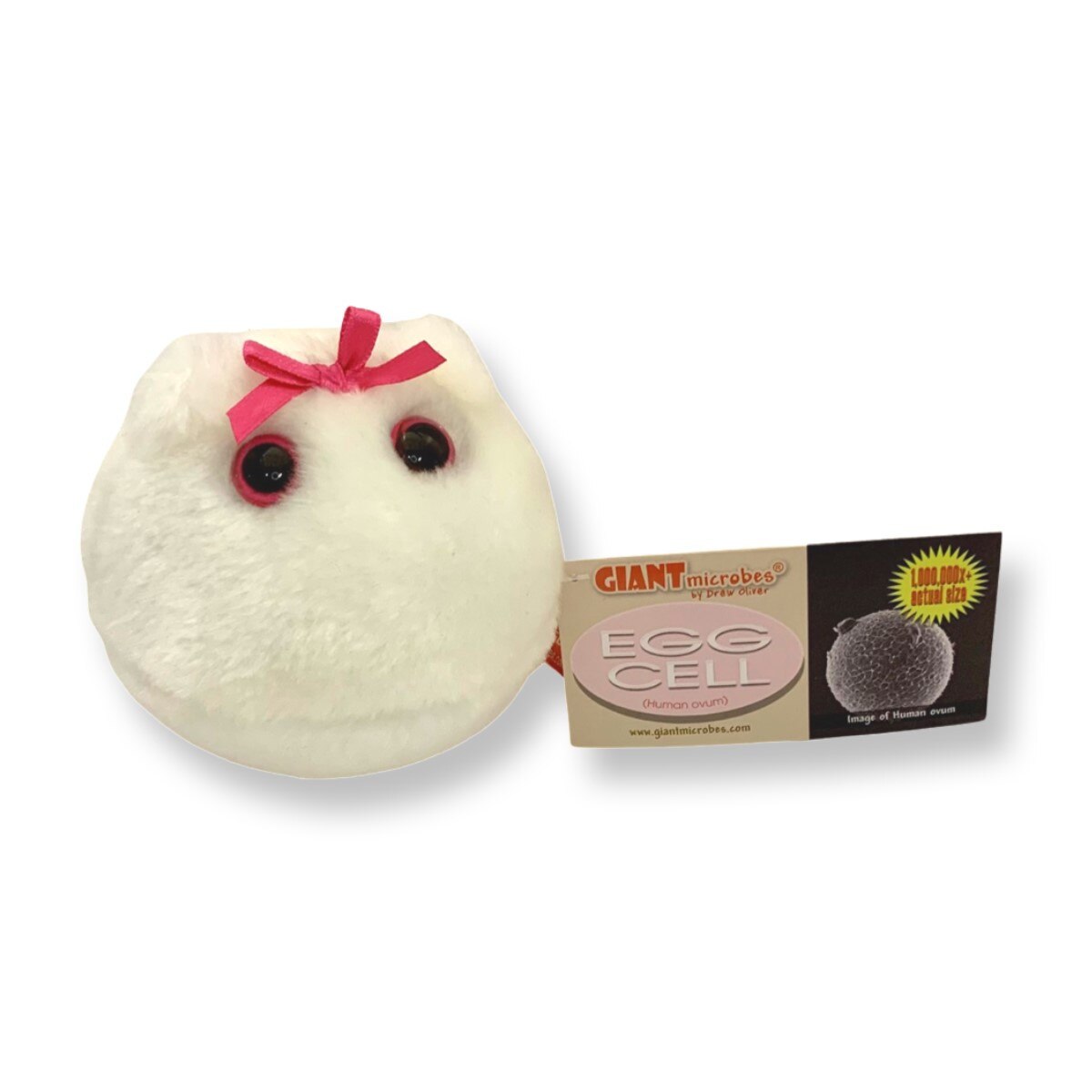 GIANTmicrobes Egg Cell