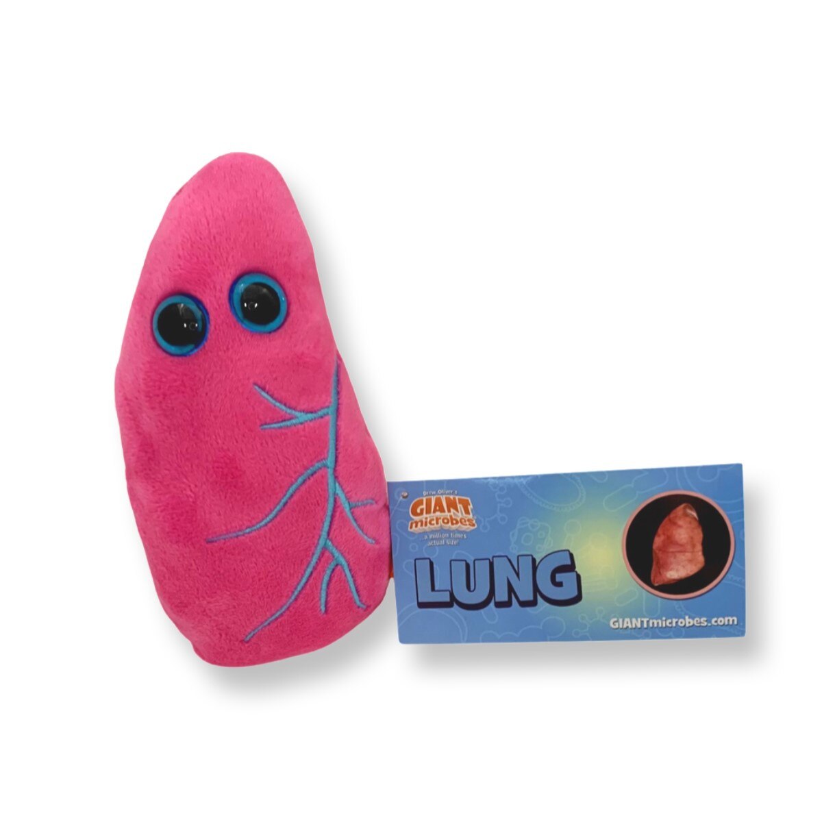 GIANTmicrobes Lung