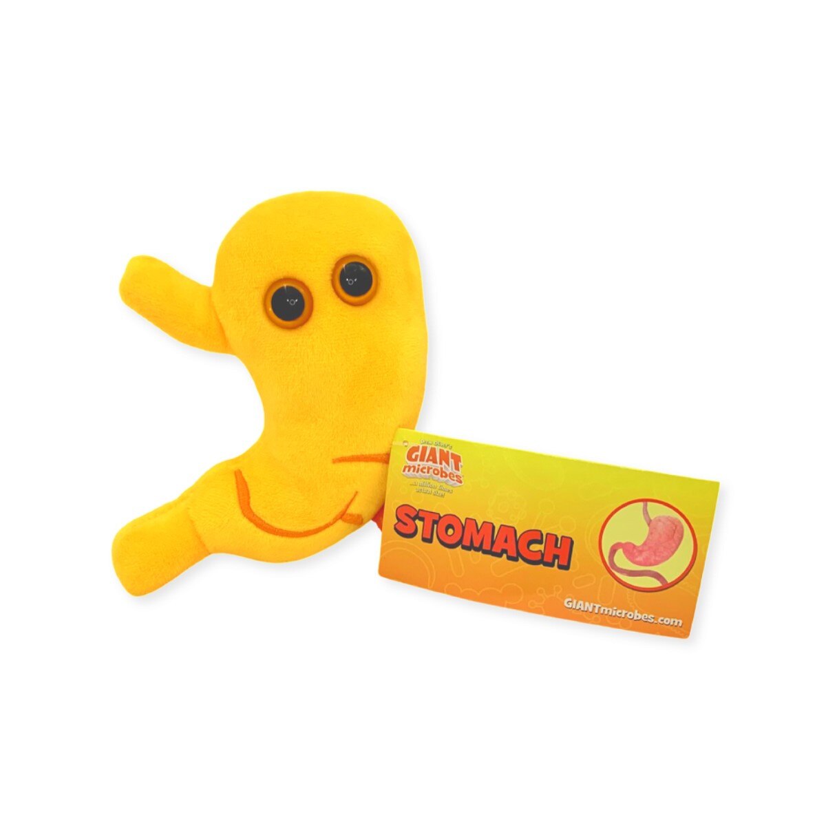 GIANTmicrobes Stomach