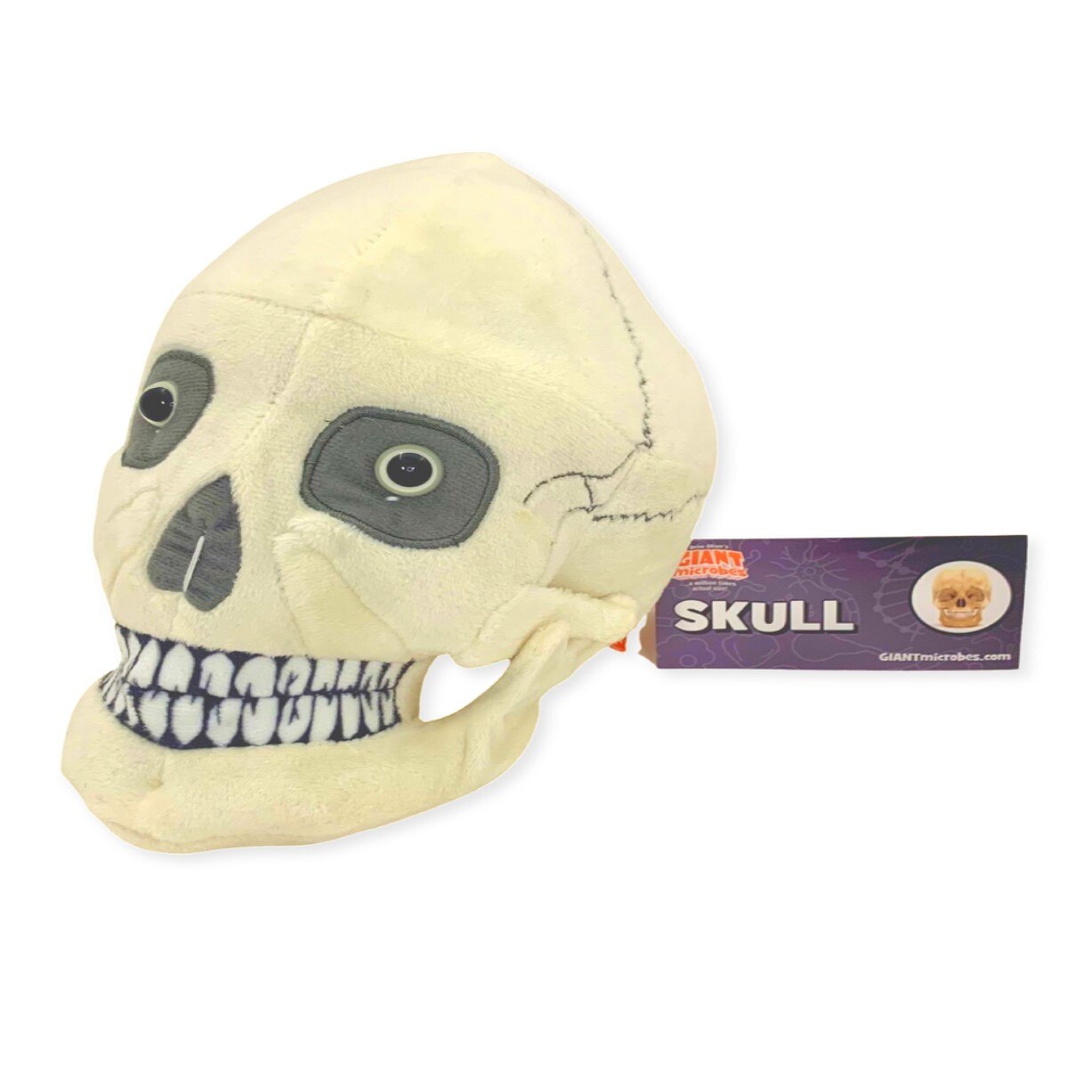 GIANTmicrobes Skull