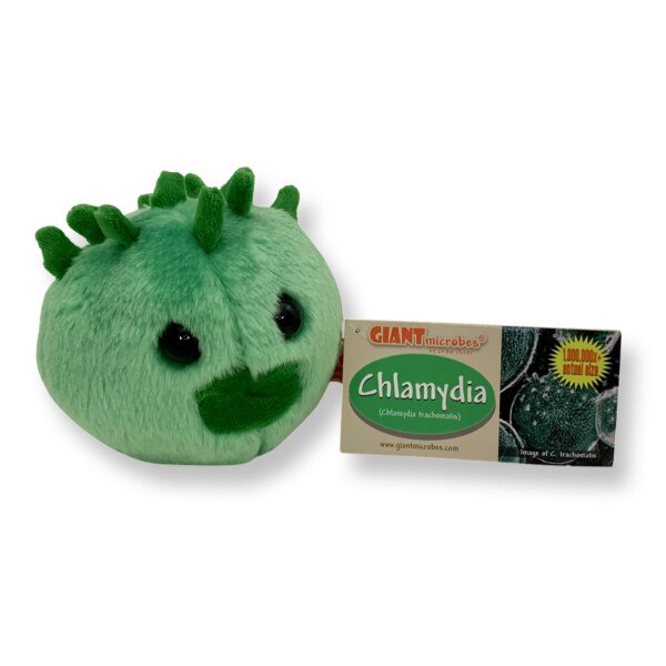 GIANTmicrobes Chlamydia