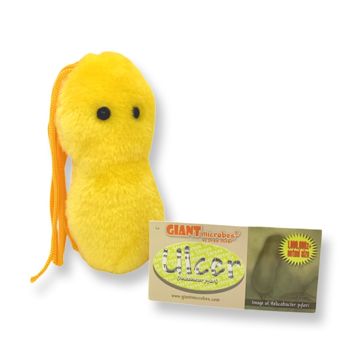 GIANTmicrobes Ulcer