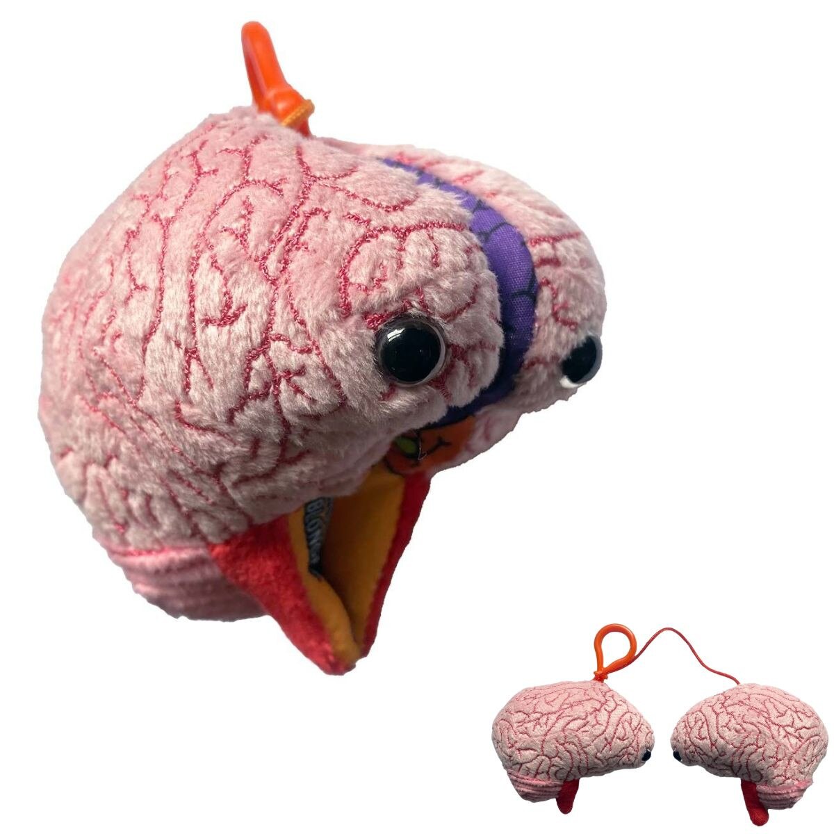 Plush Brain Model Keychain