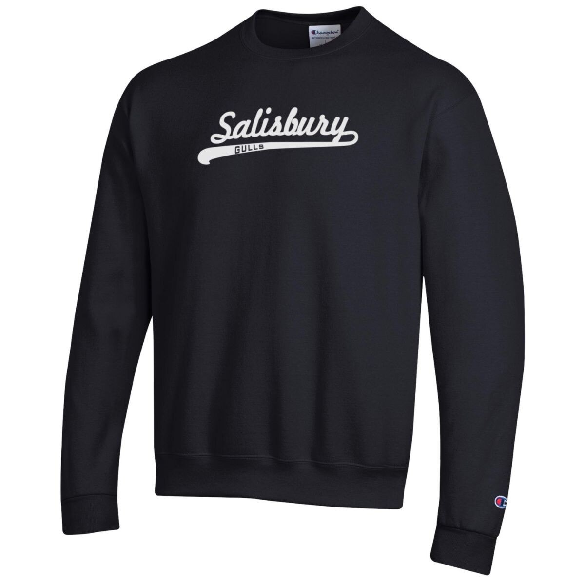 Black Crewneck w/Salisbury & Gulls