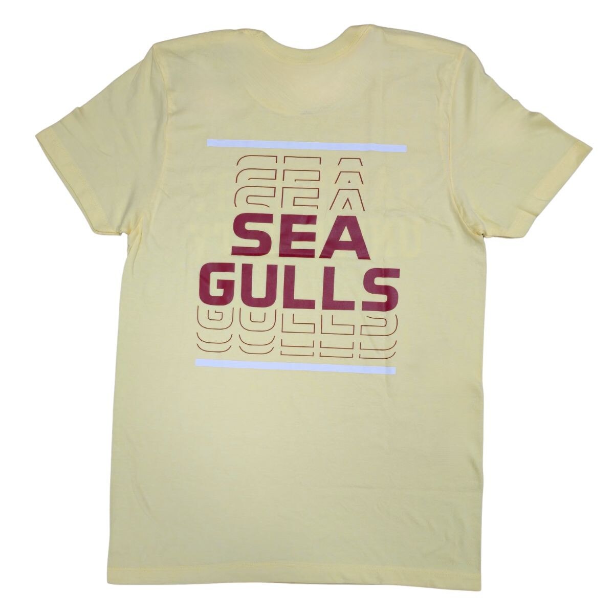 Back View Sea Gulls